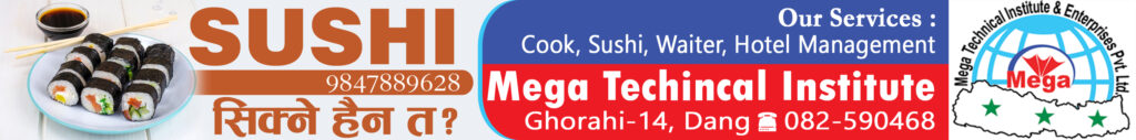 Mega Technical Institute Pvt.ltd